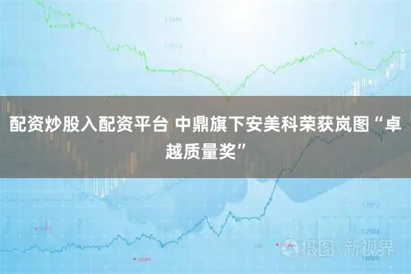 配资炒股入配资平台 中鼎旗下安美科荣获岚图“卓越质量奖”